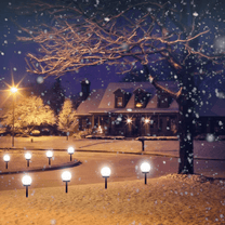 3-Piece Waterproof LED Solar Garden Lights