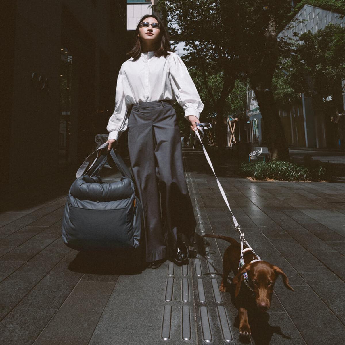 Luxury Dog Car Seat With Safety Belt