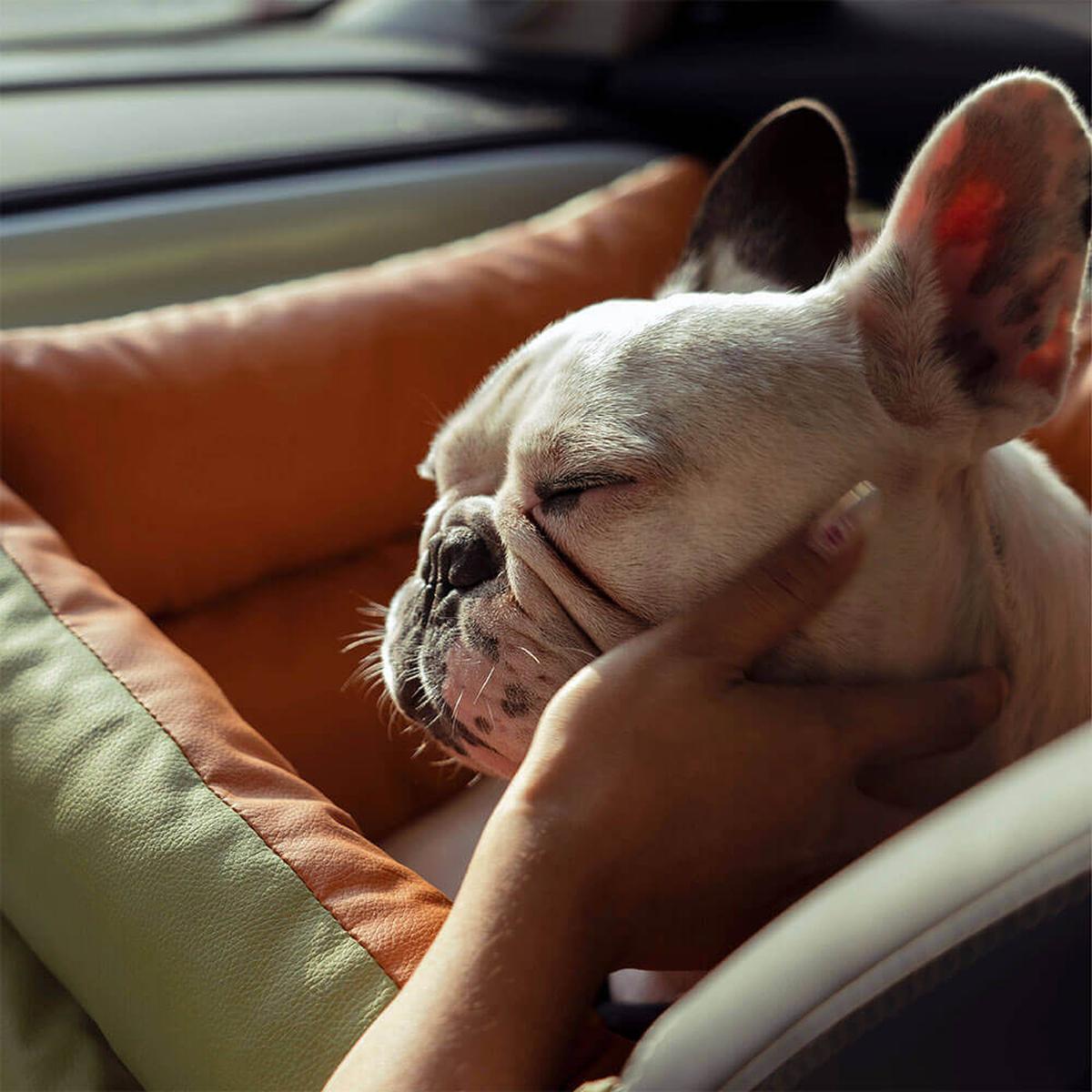 Luxury Dog Car Seat With Safety Belt