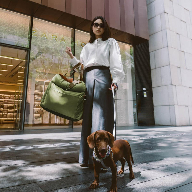 Luxury Dog Car Seat With Safety Belt