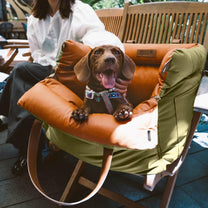 Luxury Dog Car Seat With Safety Belt