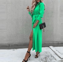 Modern Elegant Women&#39;s Dress