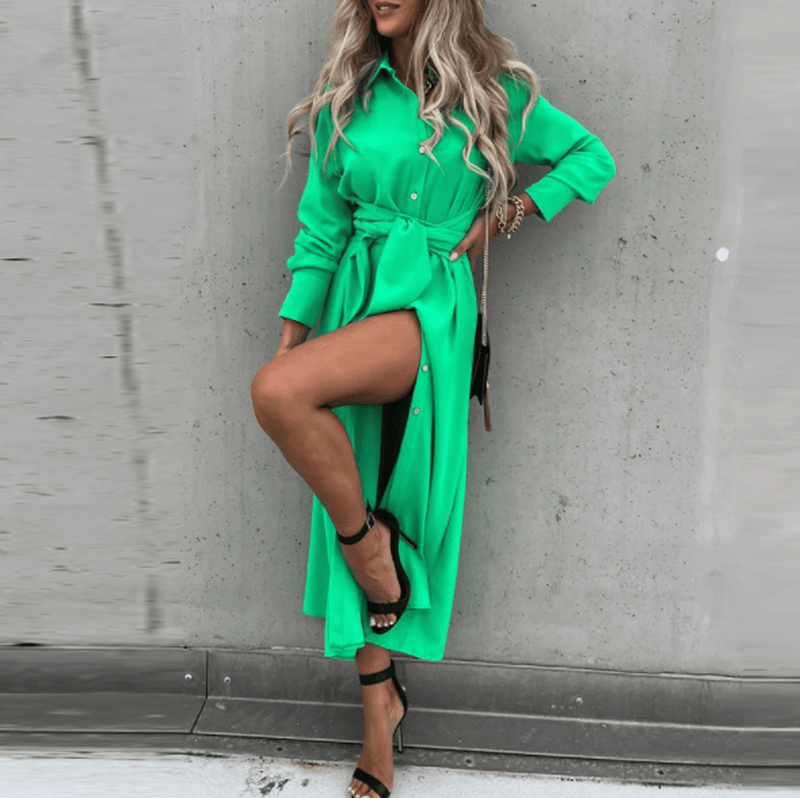 Modern Elegant Women&#39;s Dress