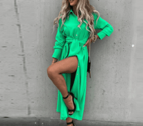 Modern Elegant Women&#39;s Dress