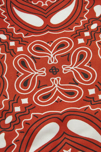 Paisley Printed Tie Front Vest