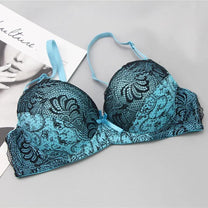 Plus-Size Embroidered Lace Push-Up Bra