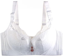 Plus Size Lace Bra With Palm Pattern And Steel Ring Support