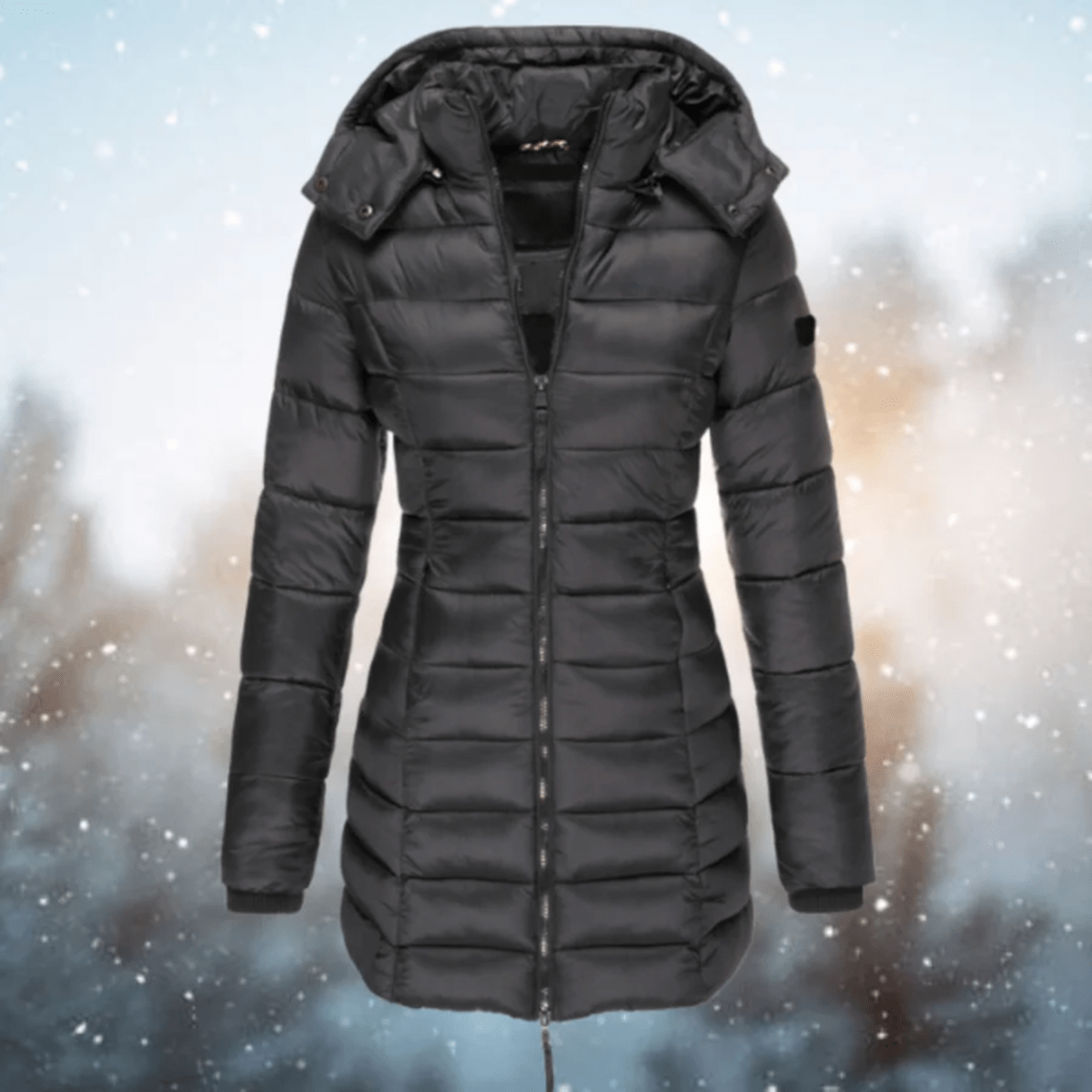 Black / XXL