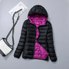 Black and purple