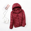 Wine Red Solid Color