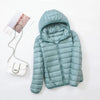 Solid Spruce Green