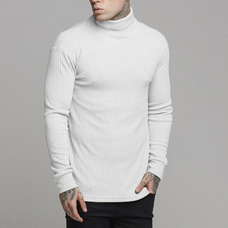 Slim Fit Ribbed Turtleneck Sweater