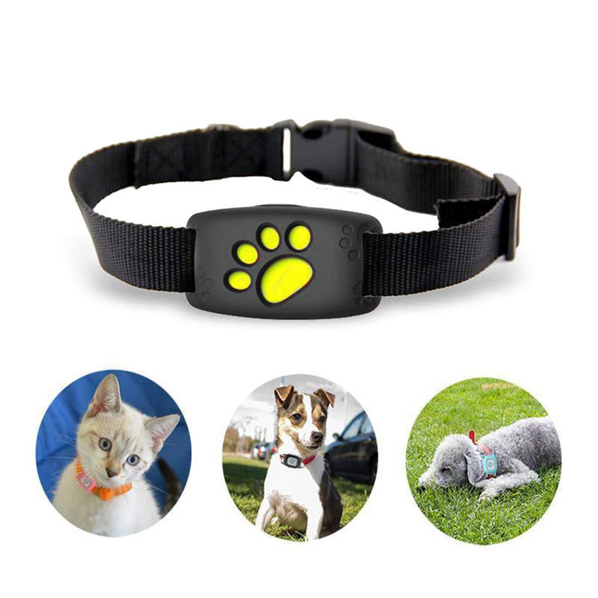 Smart GPS Pet Collar For Cats And Small Dogs