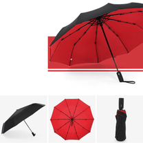 Wind-Resistant Storm Umbrella With Automatic Opening
