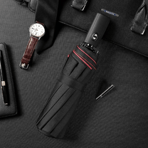 Wind-Resistant Storm Umbrella With Automatic Opening