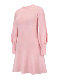 Women&#39;s Chic Balloon Sleeve Dress