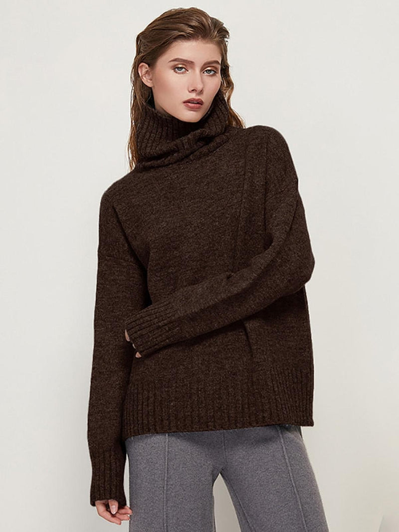 Women&#39;s Turtleneck Sweater Regular Fit