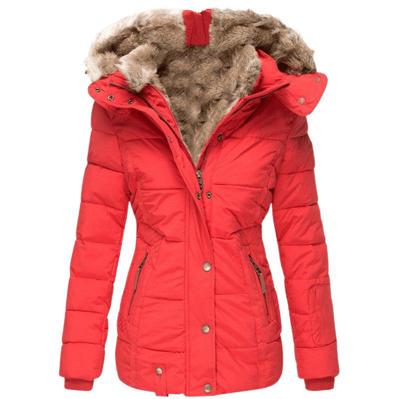 Women&#39;s Winter Jacket With Fur Lining And Slim Fit